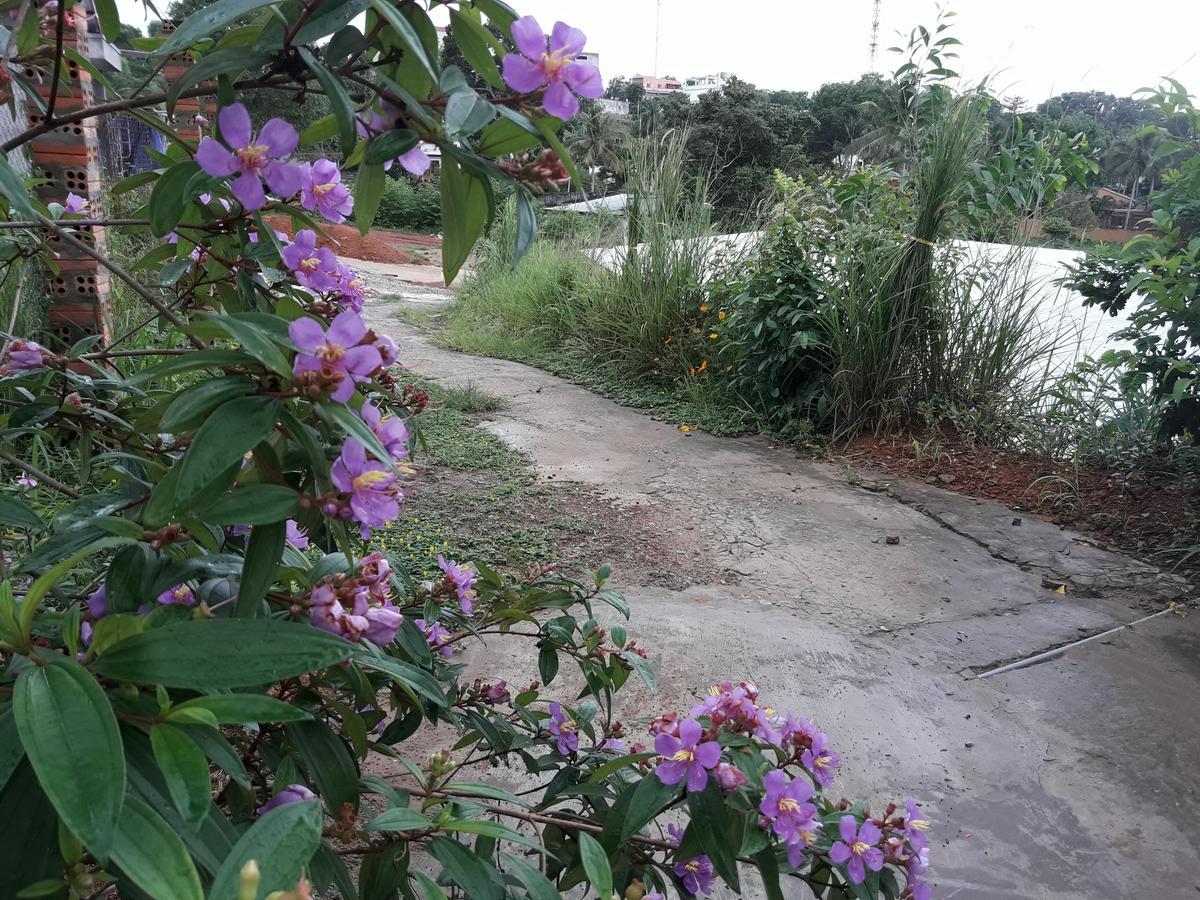 Be Home Hostel دونغ دونغ المظهر الخارجي الصورة